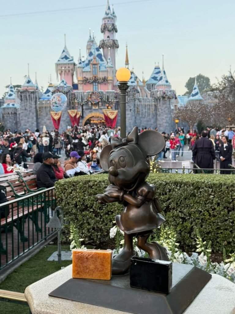 Dos jabones artesanales de viaje en Disneyland